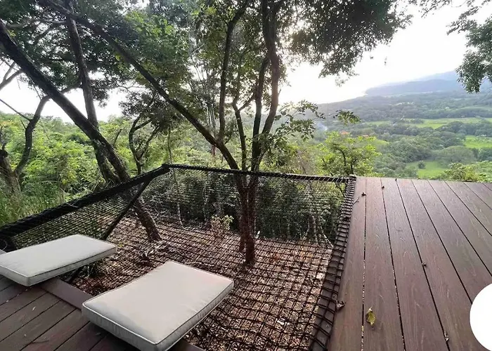 Sweet Jungle *